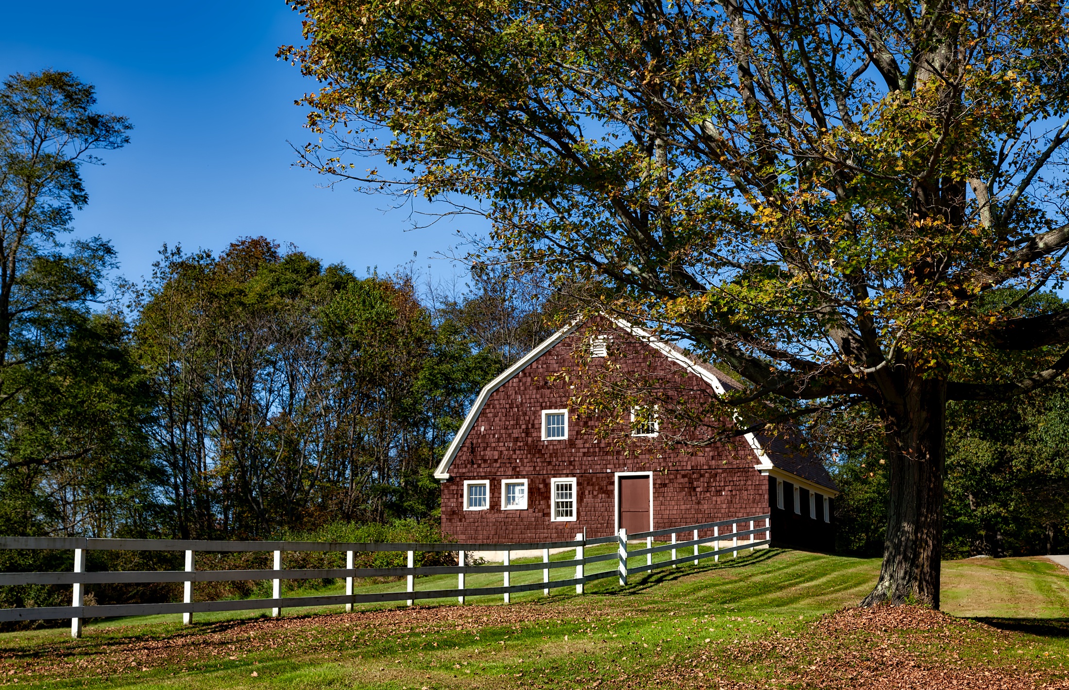 Countryside acres новое